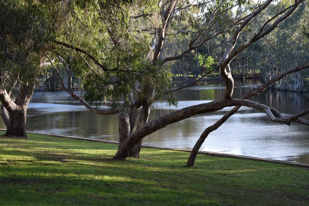 Bushy Lake Chalets Margaret River Екстериор снимка