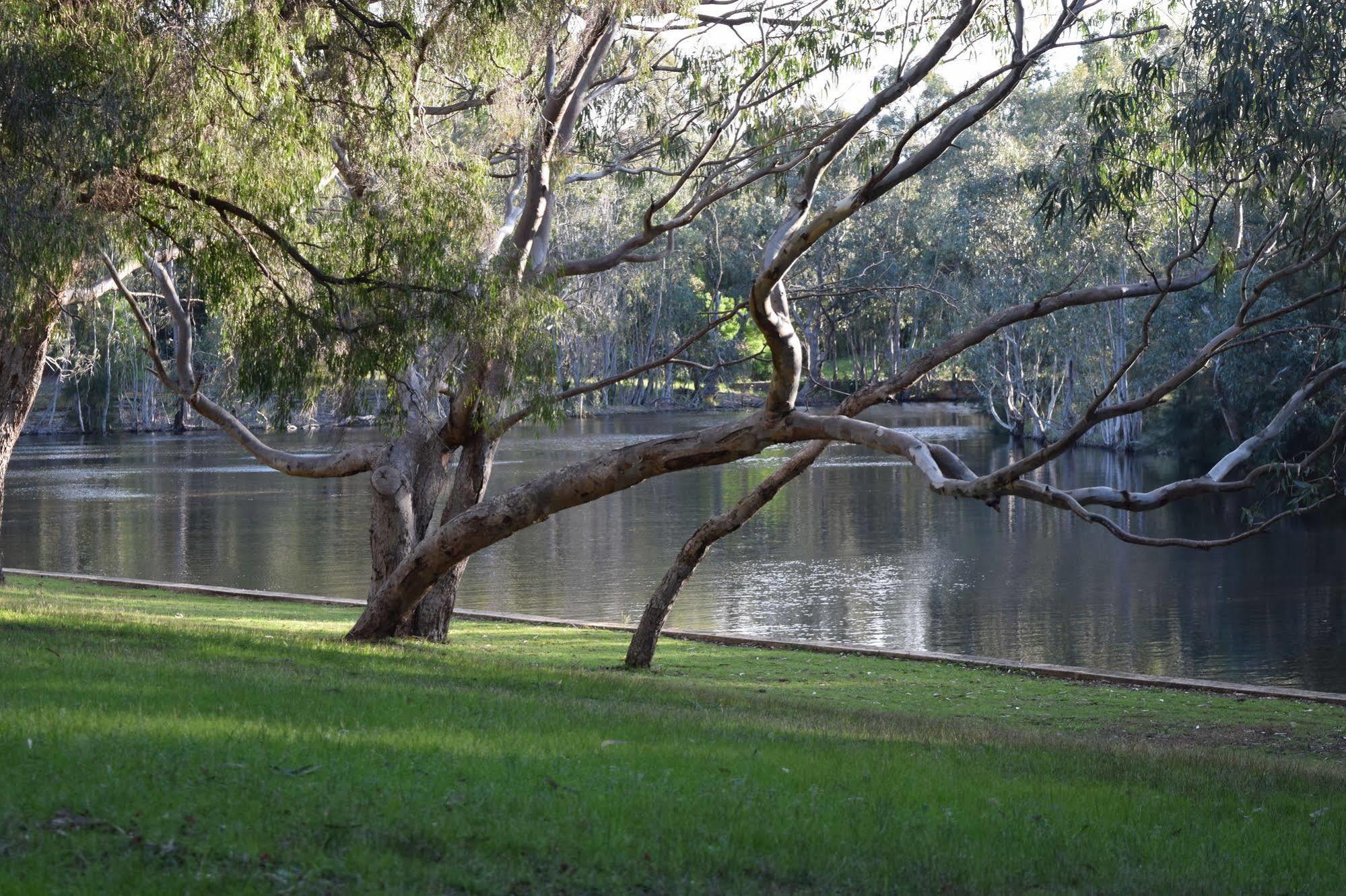 Bushy Lake Chalets Margaret River Екстериор снимка